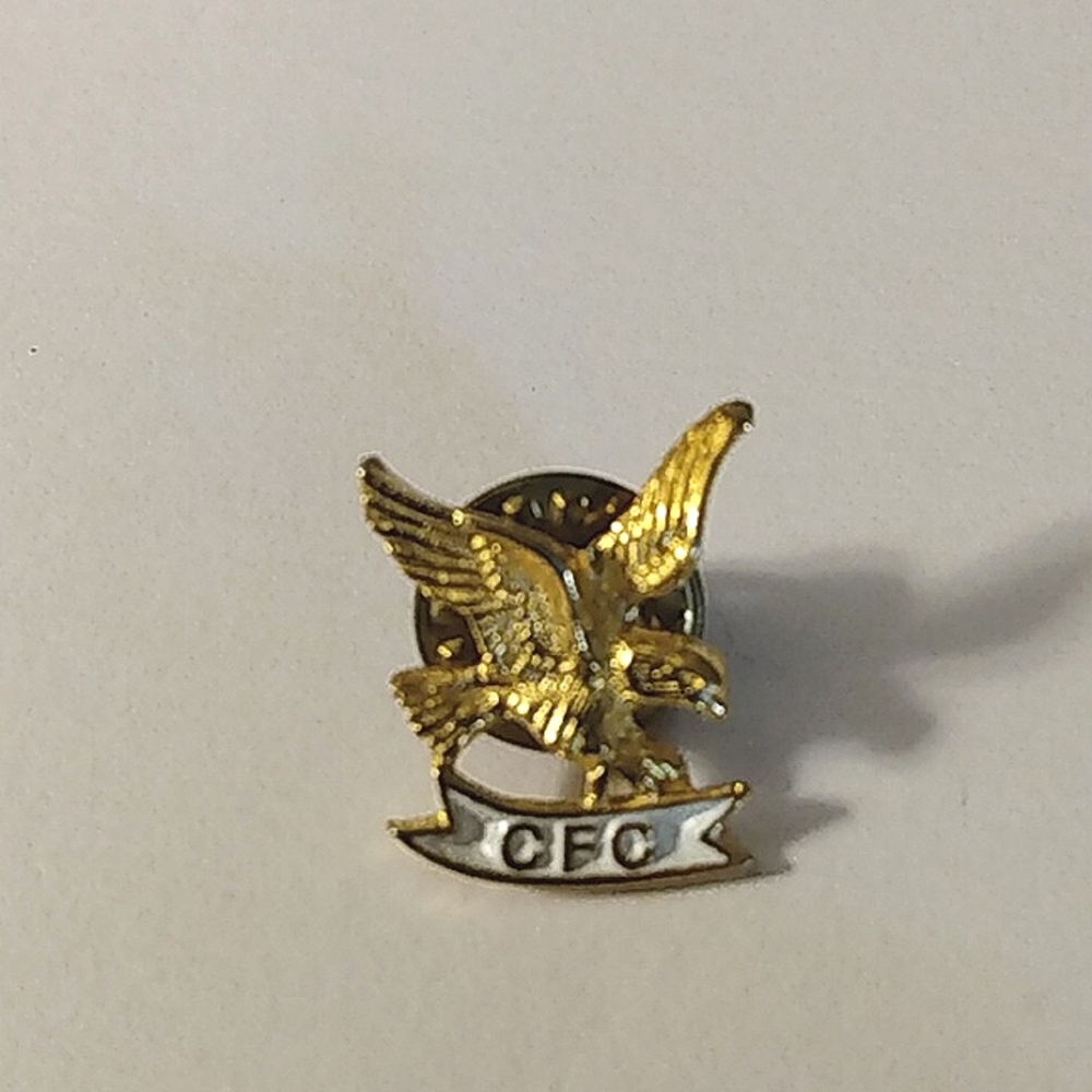 CFC Gold Eagle Lapel Pin Combined Federal Campaign Government Employees Charity